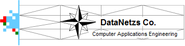 www.datanezs.com Logo